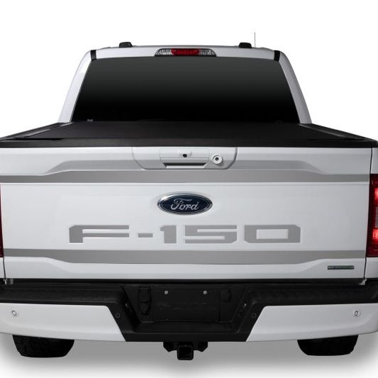 Putco 2021 Ford F-150 Ford Lettering (Cut Letters/Stainless Steel) Tailgate Emblems - SMINKpower Performance Parts PUT55559FD Putco