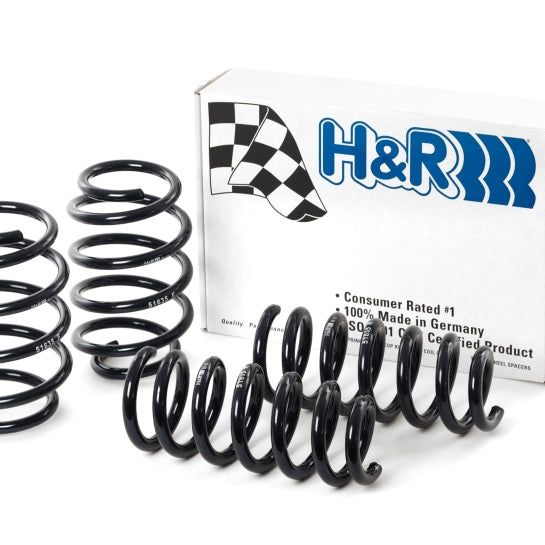 H&R 09-19 Ford Flex (2WD/AWD) Sport Spring-Lowering Springs-H&R-HRS51635-SMINKpower Performance Parts