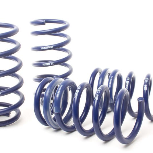 H&R 17-21 Porsche Panamera 4 Sport Turismo 971 Sport Spring (w/PASM & w/o Air Susp.)-Lowering Springs-H&R-HRS54025-SMINKpower Performance Parts