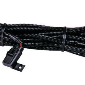 Hella High Performance Halogen Wiring Harness - SMINKpower Performance Parts HELLAH84994031 Hella